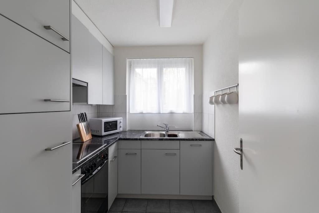 Nice And Big 1 Bedroom Flat City Center/Near Lake Zurigo Esterno foto